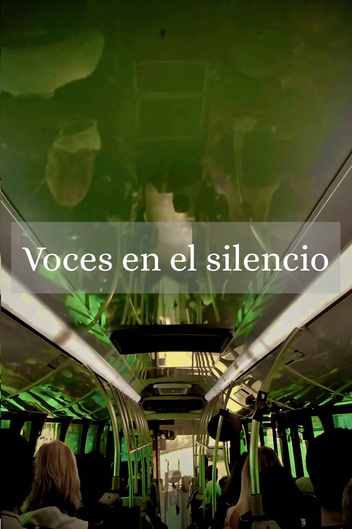 Voces en el silencio book cover.